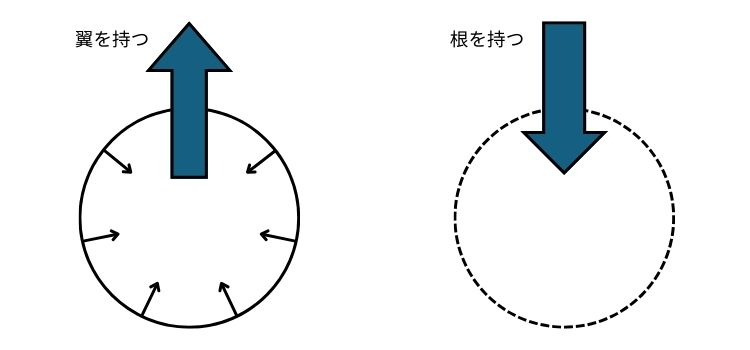 図２ 根をもつことと翼をもつこと イメージ図