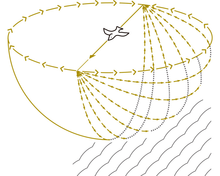 図３ 空を飛ぶ鳥を囲むオプティカル・フロー図